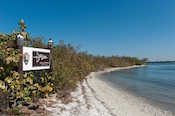 sandy shoreline with mangrove trees and De Soto Memorial wooden sign